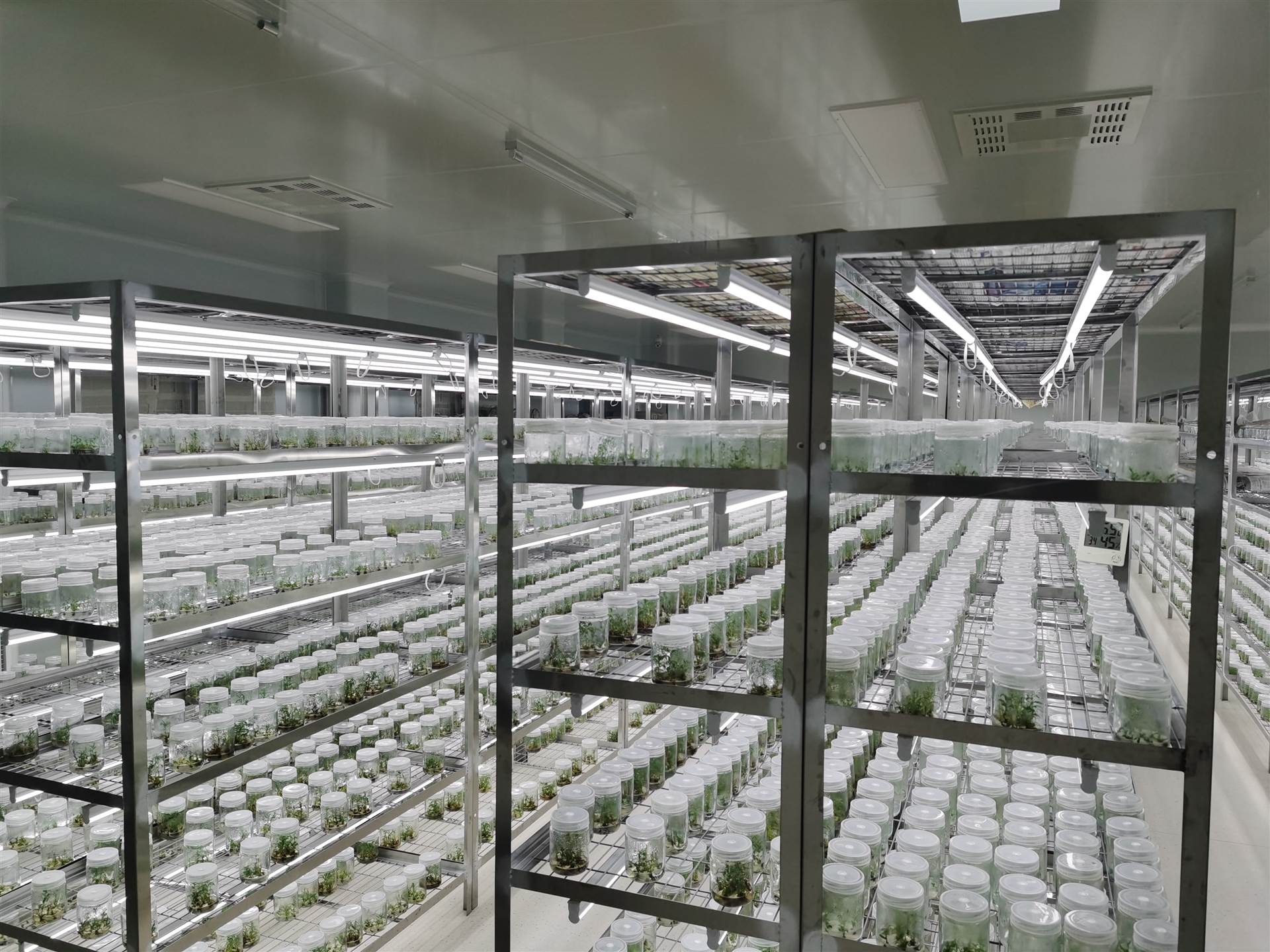 組培室凈化工程該如何設(shè)計?設(shè)計等級是什么?